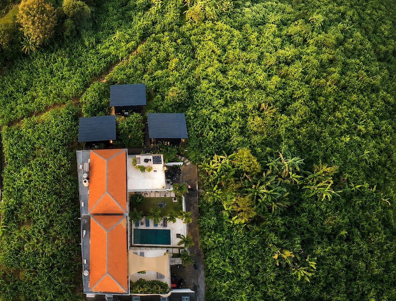 Surrounded by peaceful jungle